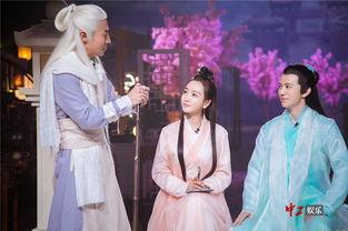 明星大真五,揭秘娱乐圈背后的真实故事