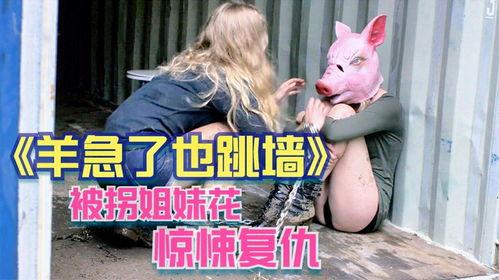 羊急了也跳墙在线观看,一场惊心动魄的冒险之旅