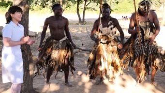 av拔套系列,揭秘成人用品的多样性与创新